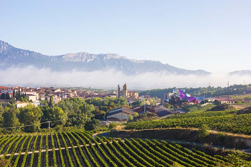 Aerial view of the Rioja winemaking region in Spain.
