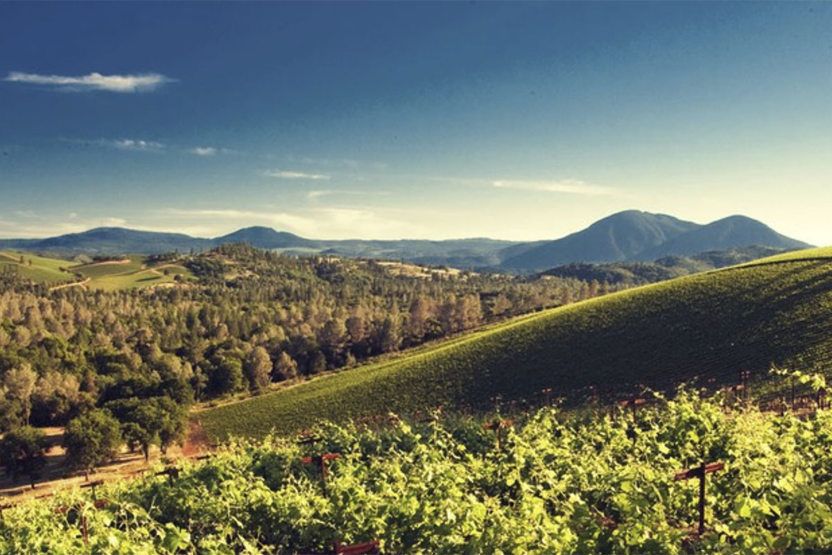 View of Brassfield Winery in California