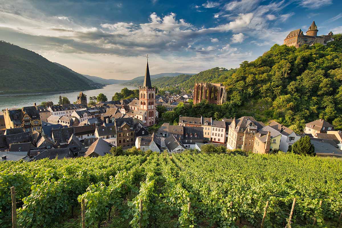 View of a vineyard in Germany.